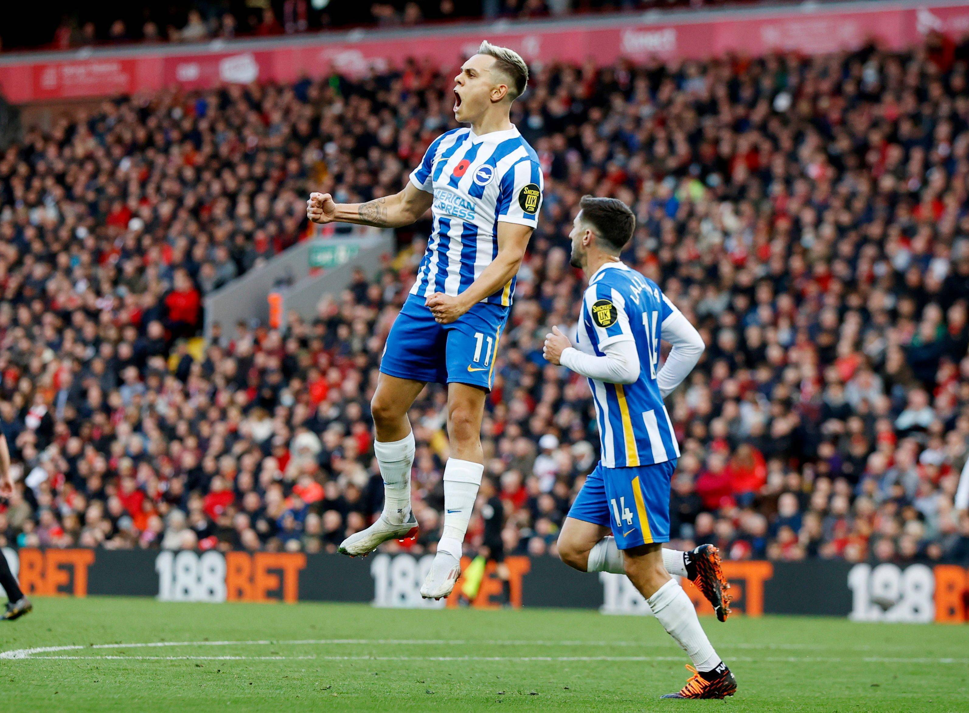 并不少见 并不少见